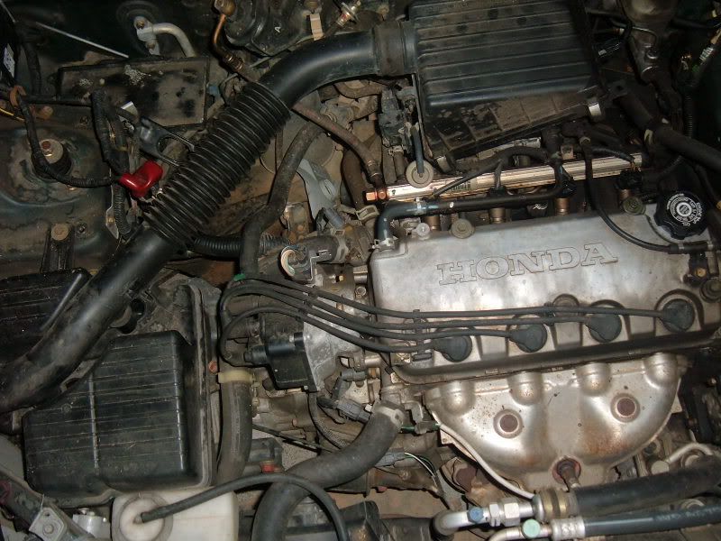 Stephen's d16z6 in a EK engine build